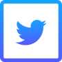 Twitter Marketing Services